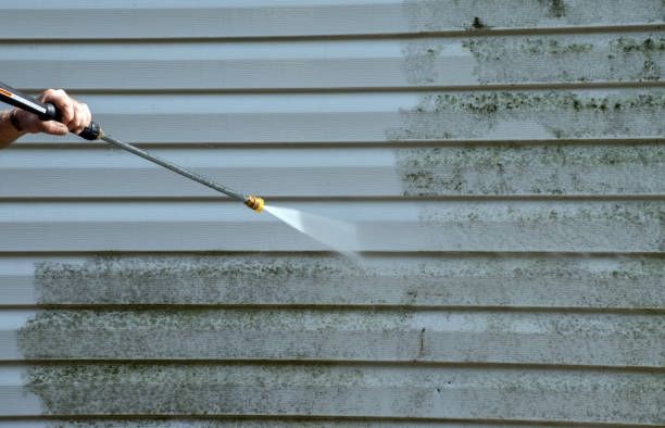 Best House Pressure Washing  in Marcellus, MI